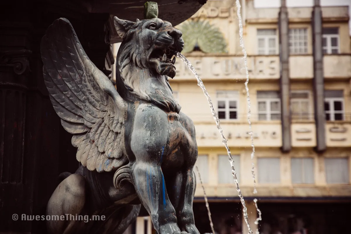 Leo, Porto