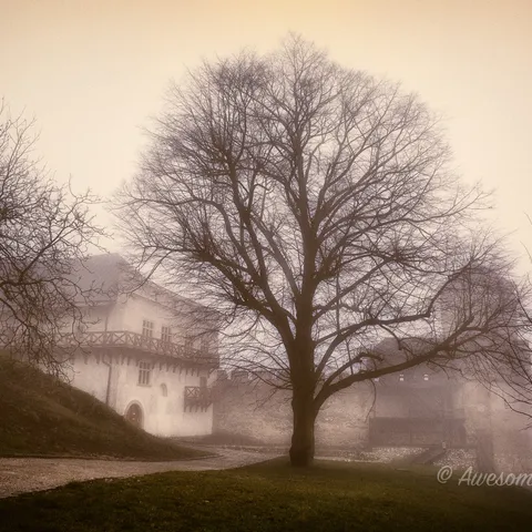 Trencin Castle 3