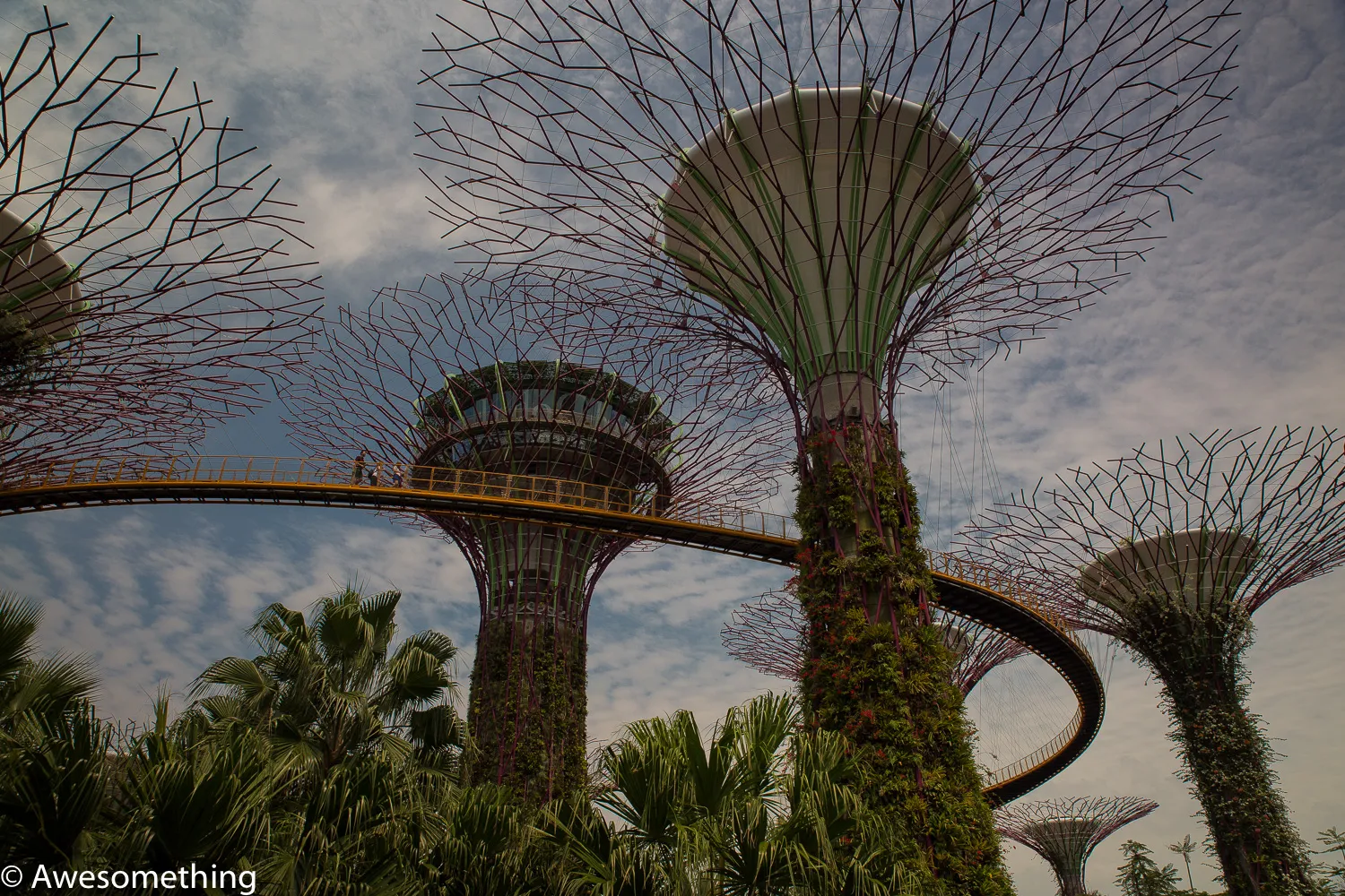 Singapore-25