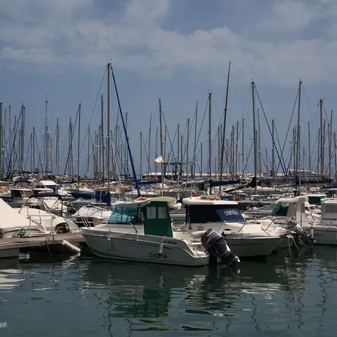 Alicante