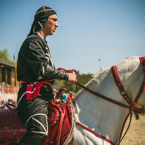 HorseShow 3