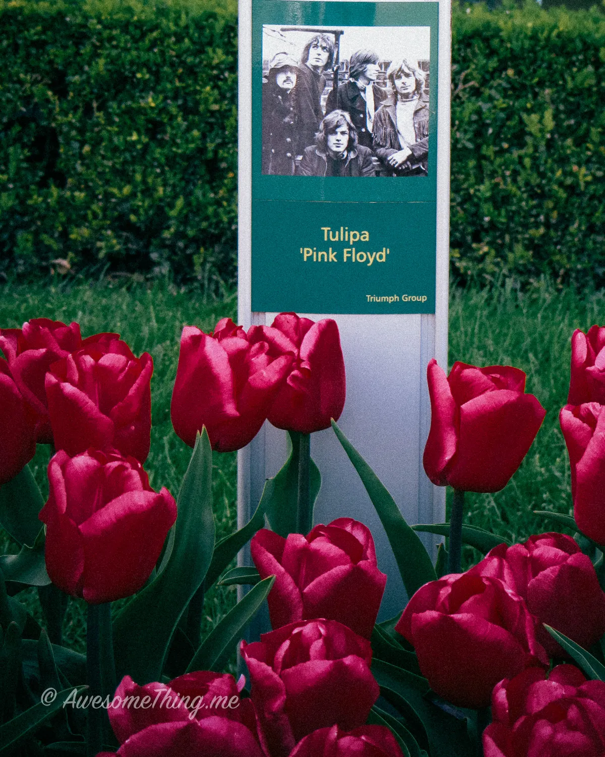 Keukenhof Holland