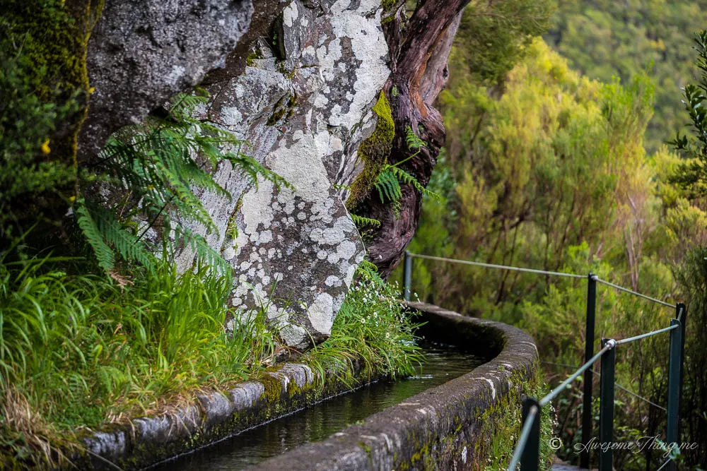 Levada 25 fontes