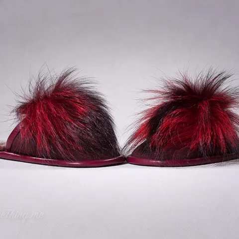 PomFur 8