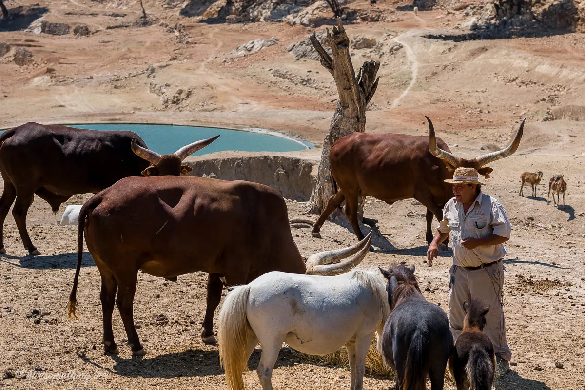 Aitana Safari Park, Costa Blanca
