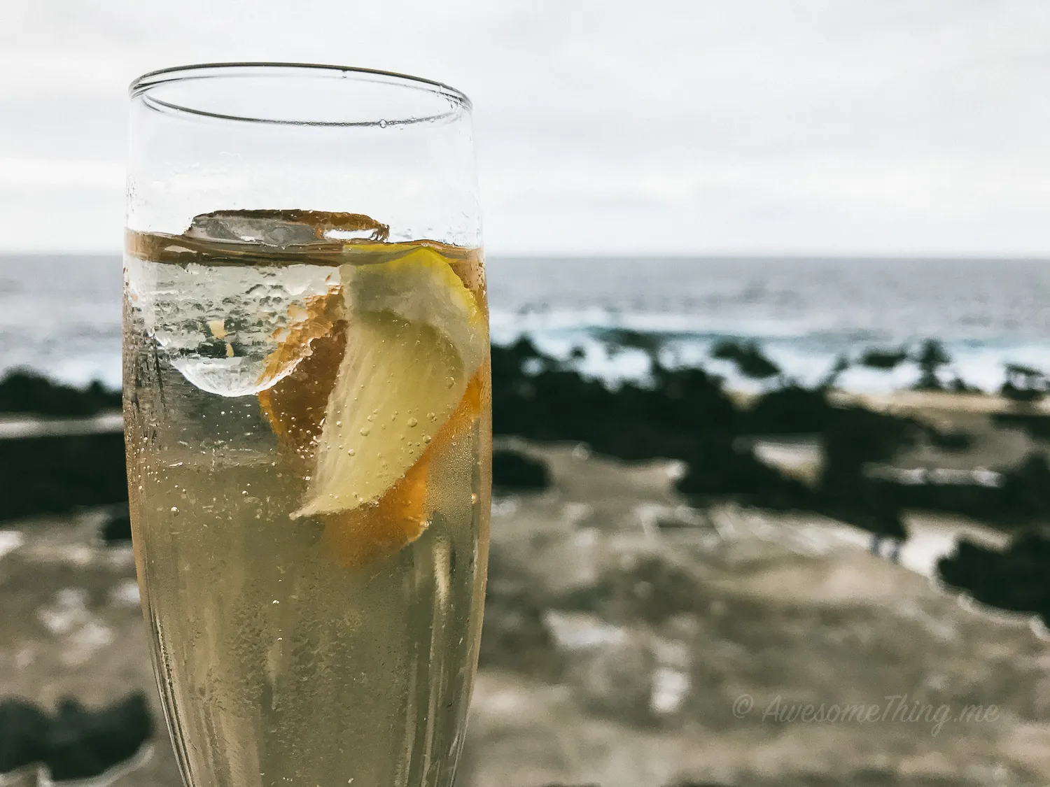Vine and Porto Moniz