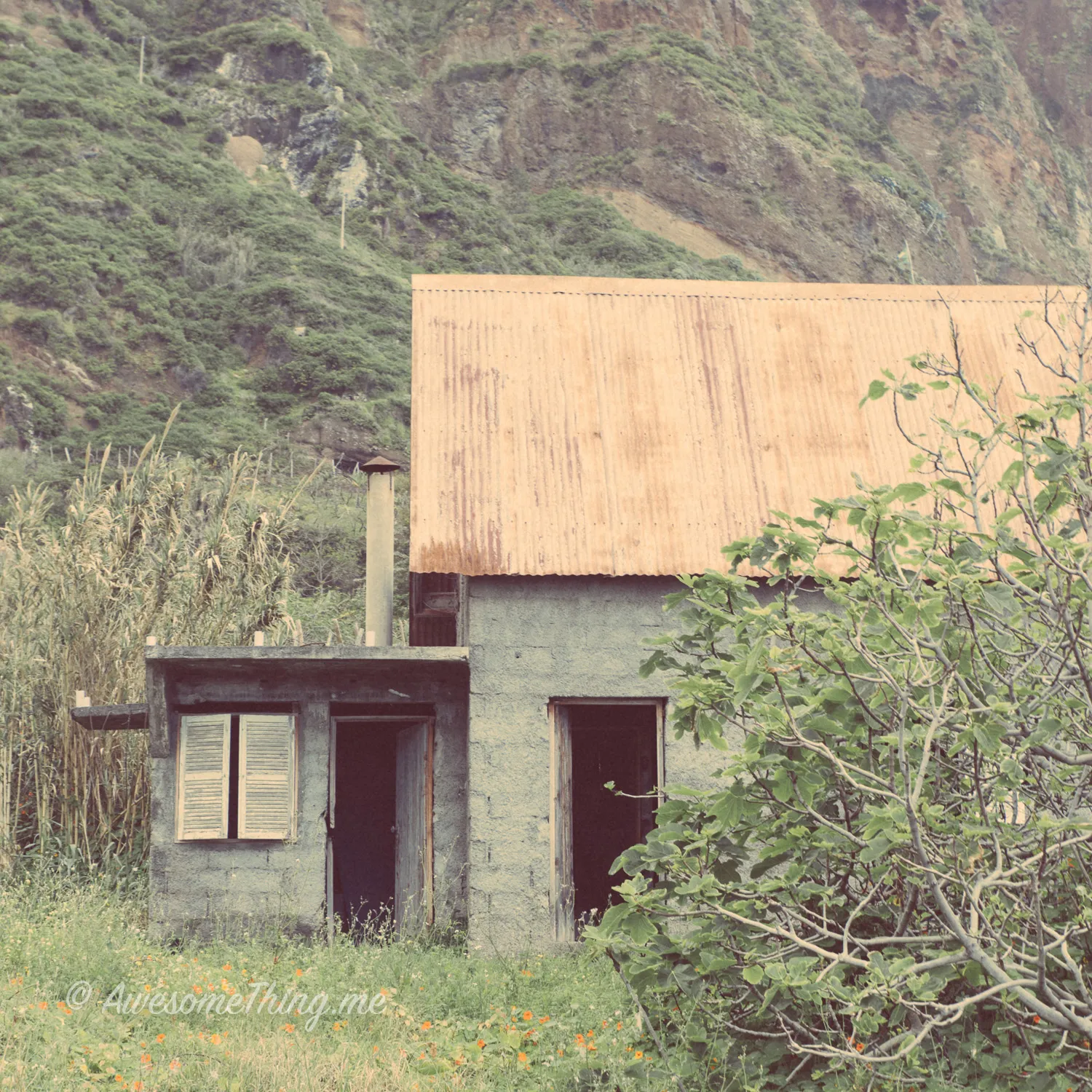 Barn