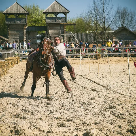 HorseShow 9