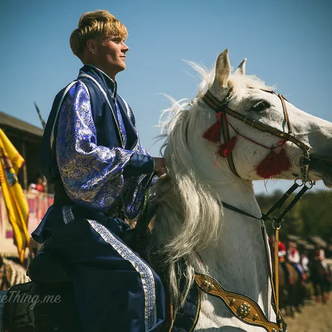HorseShow 5