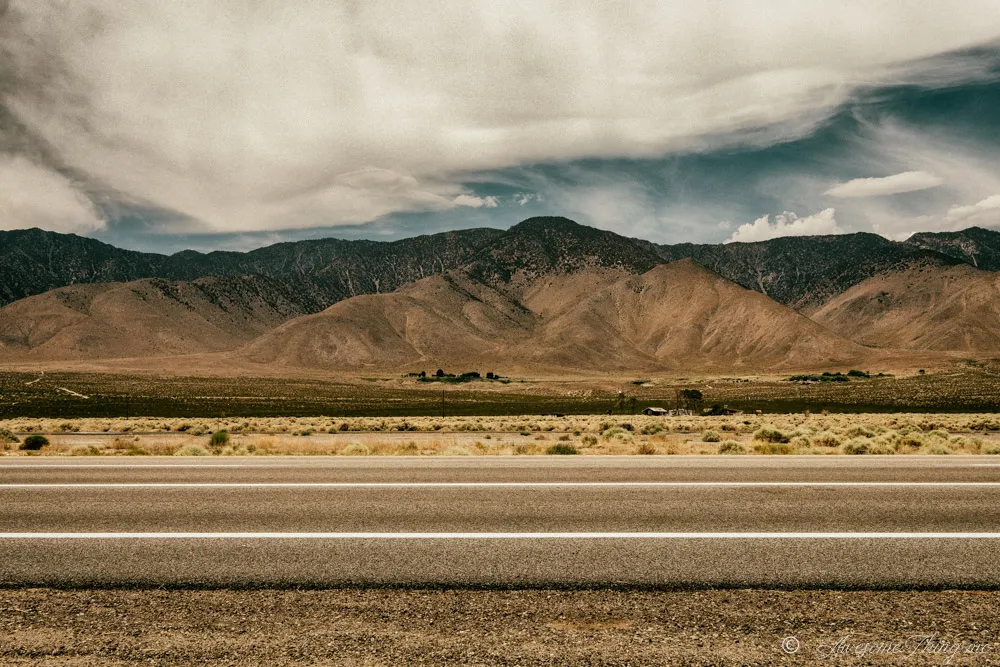 route 395
