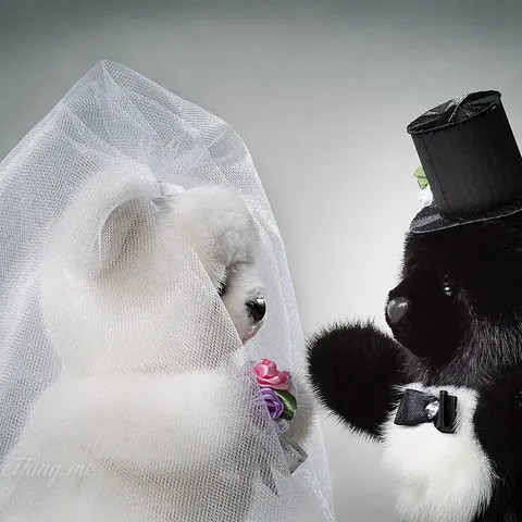 PomFur 13