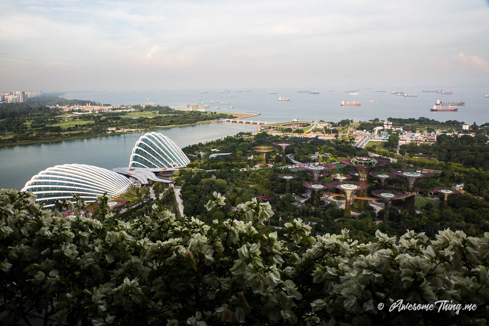 Gardens By the Bay, Сингапур